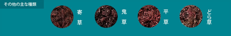 その他の主な種類